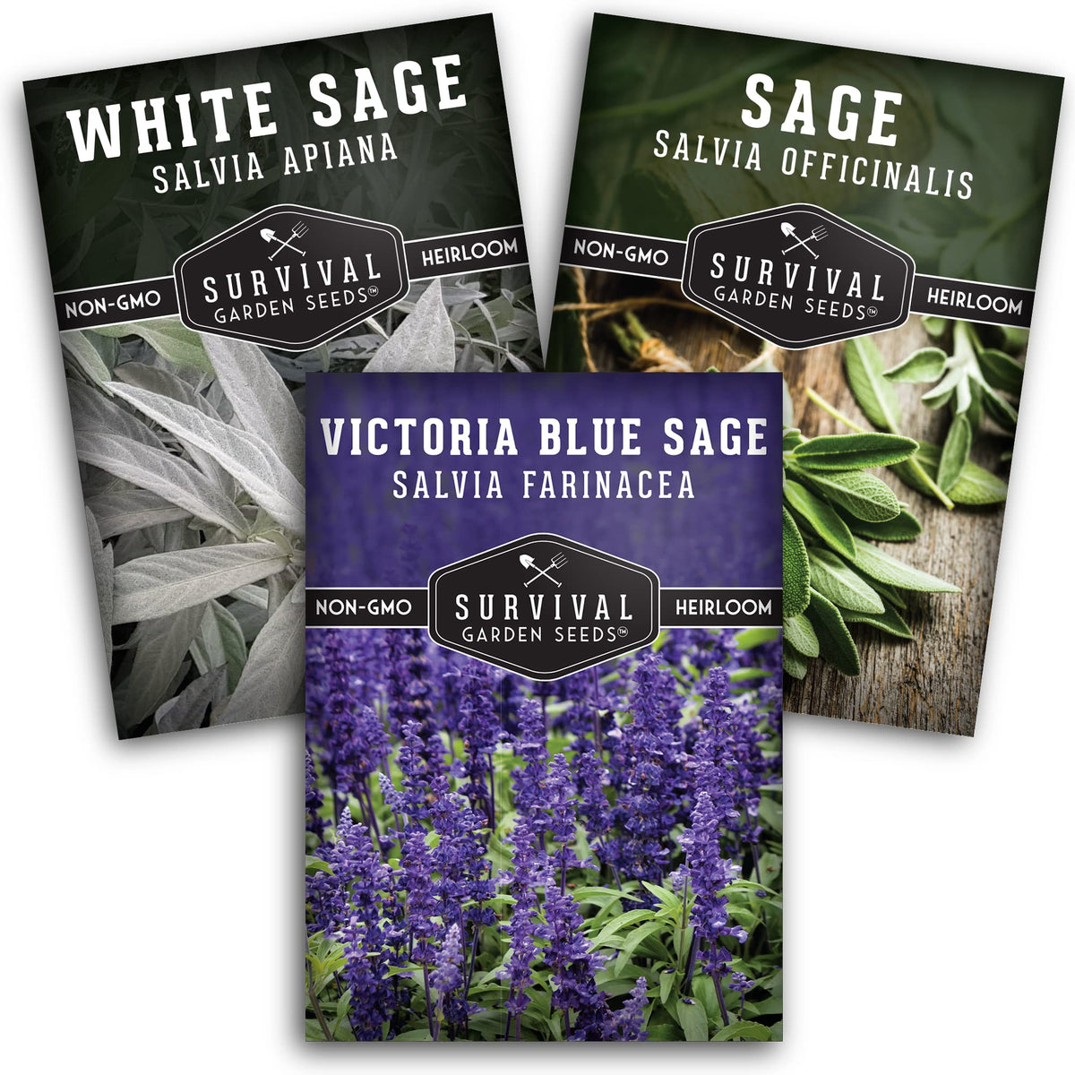 SURVIVAL GARDEN SEEDS White Sage seed packet for easy home cultivation
