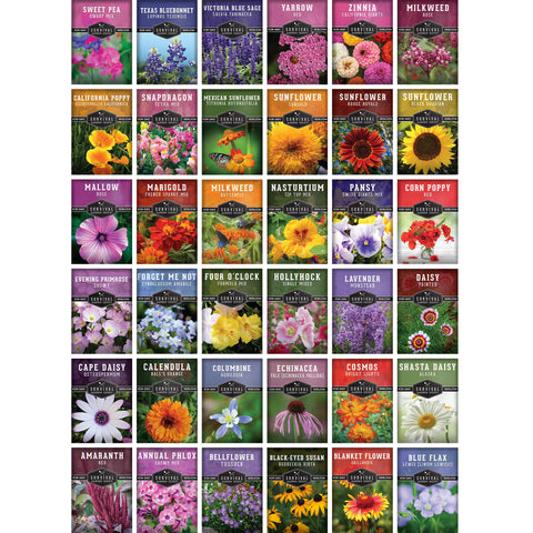 Survival Garden Seeds wildflowers for pollinators supports bees and butterflies in your yard.