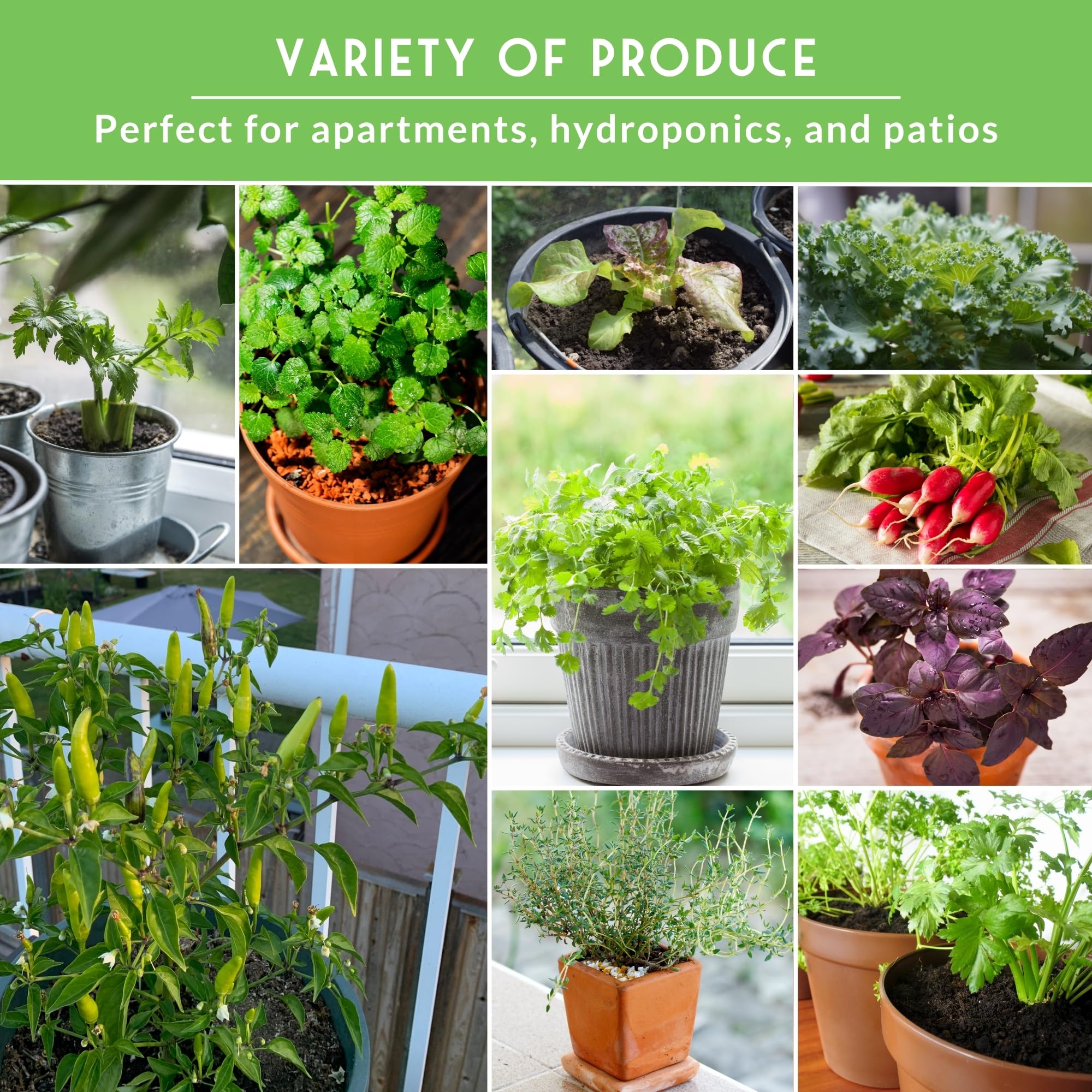 SURVIVAL GARDEN SEEDS windowsill garden demonstrates space-saving herb and veggie growth.