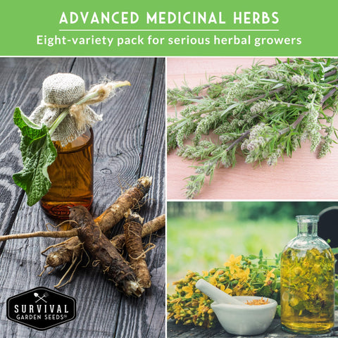Survival Garden Seeds wormwood seed package for bold herbal accents