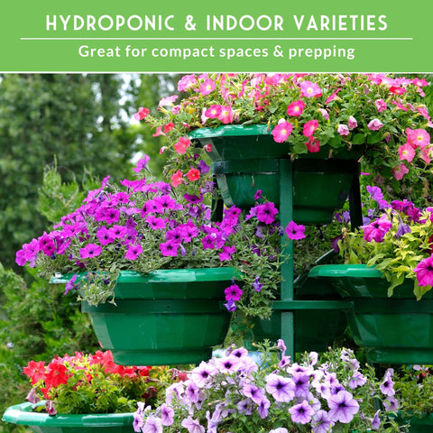 SURVIVAL GARDEN SEEDS year-round growing concept for fresh kitchen harvests.