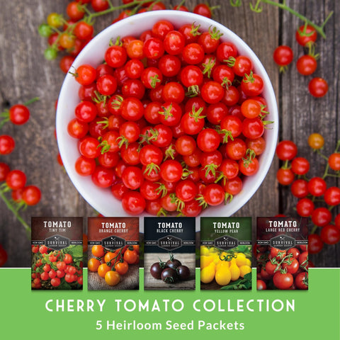 SURVIVAL GARDEN SEEDS Yellow Pear tomato seeds brighten patios with sunny fruit.