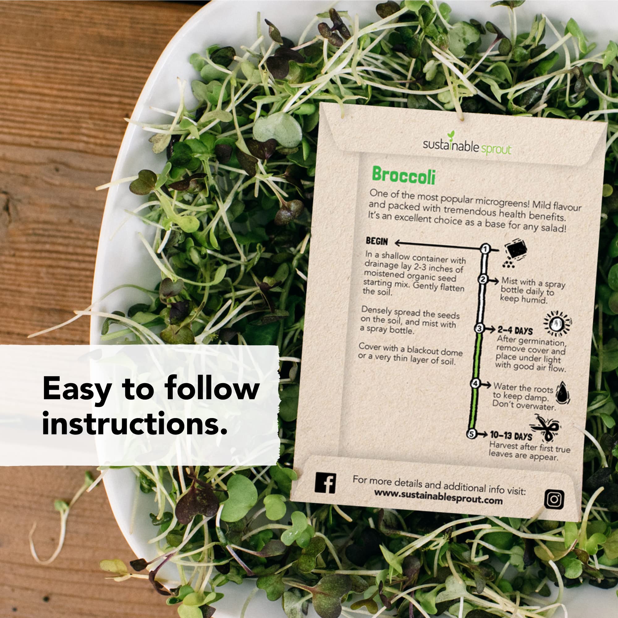 Sustainable Sprout beet microgreens seeds for colorful at-home meals