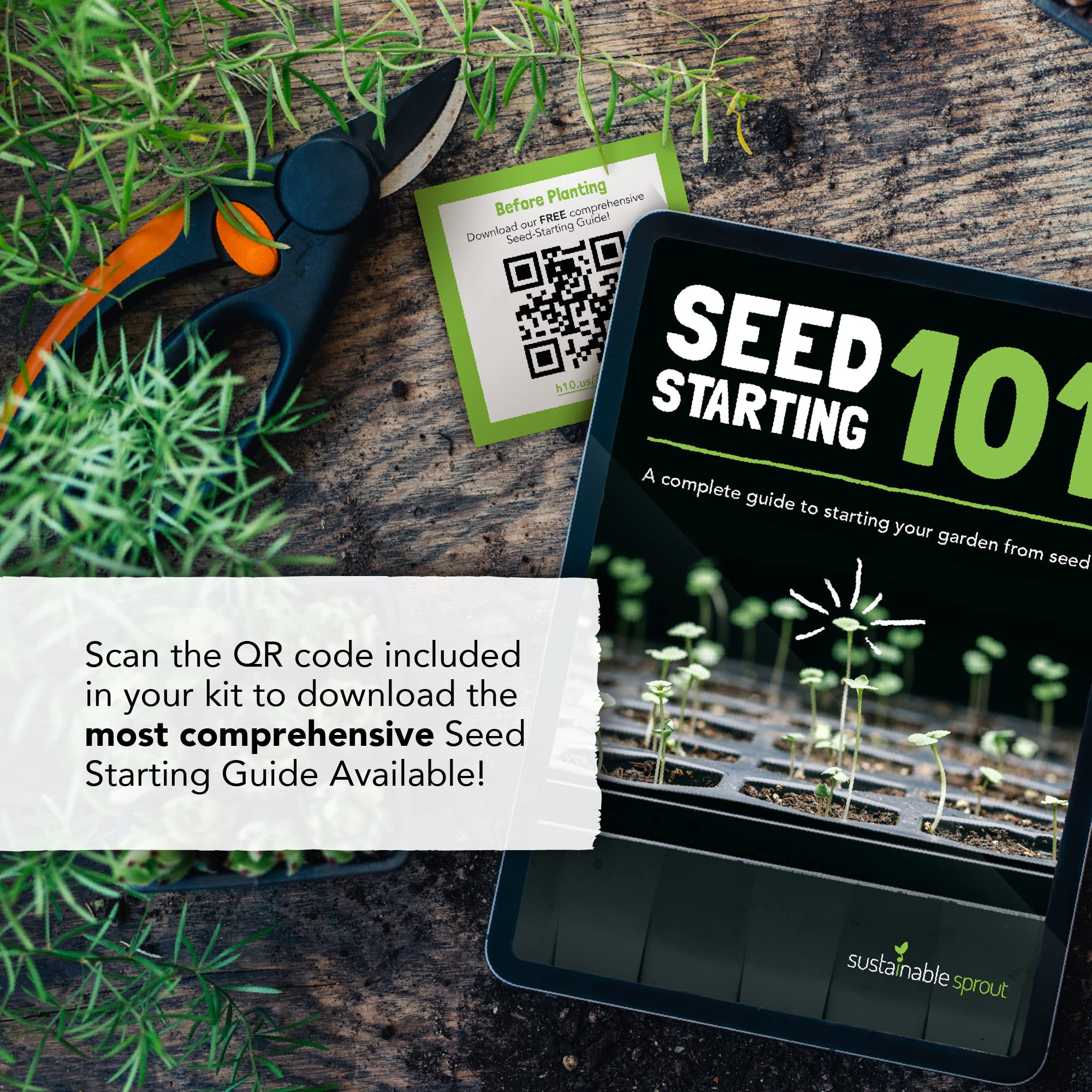 Sustainable Sprout Bachelor Button seeds add cheerful edible blossoms to salads.