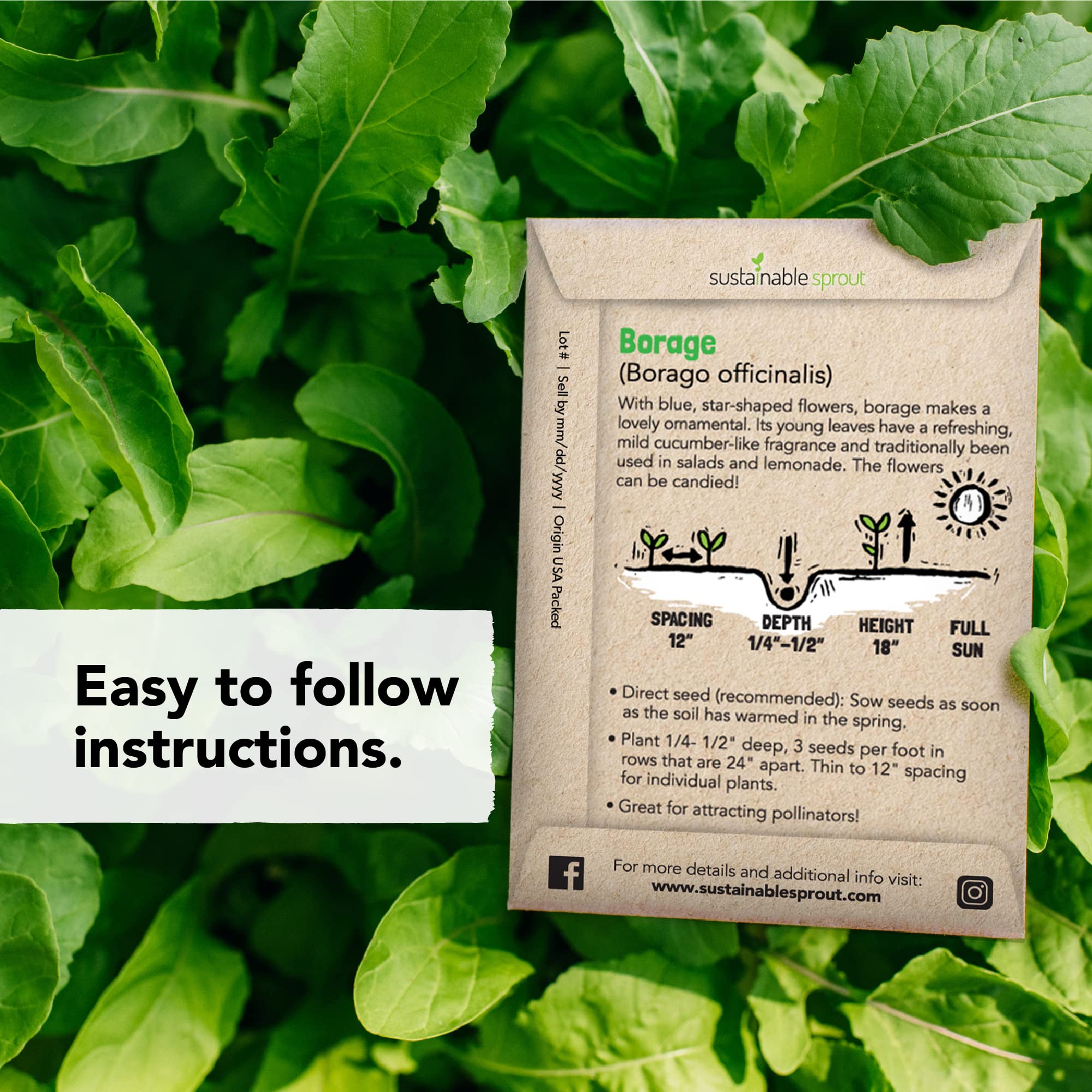 Sustainable Sprout Edible Flower Seeds Kit demonstrates the vibrant variety and easy sowing.