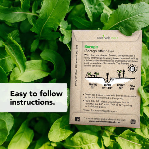 Sustainable Sprout Edible Flower Seeds Kit demonstrates the vibrant variety and easy sowing.