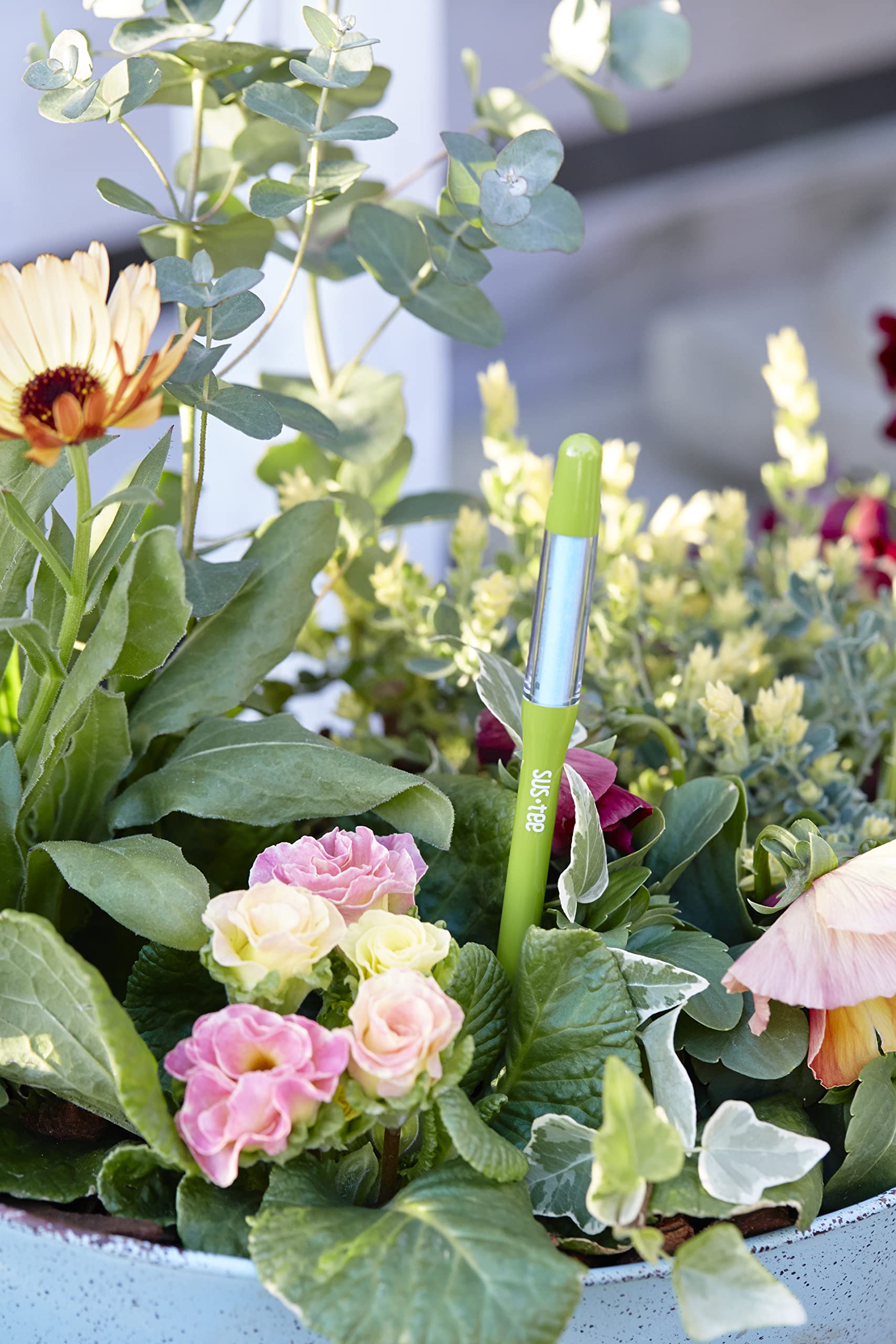 Leave in place for ongoing moisture checks without removal.
