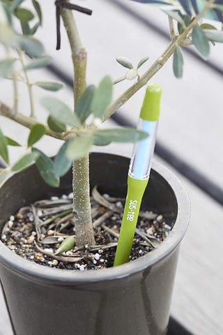 Sustee Aquameter houseplant moisture monitoring in pots