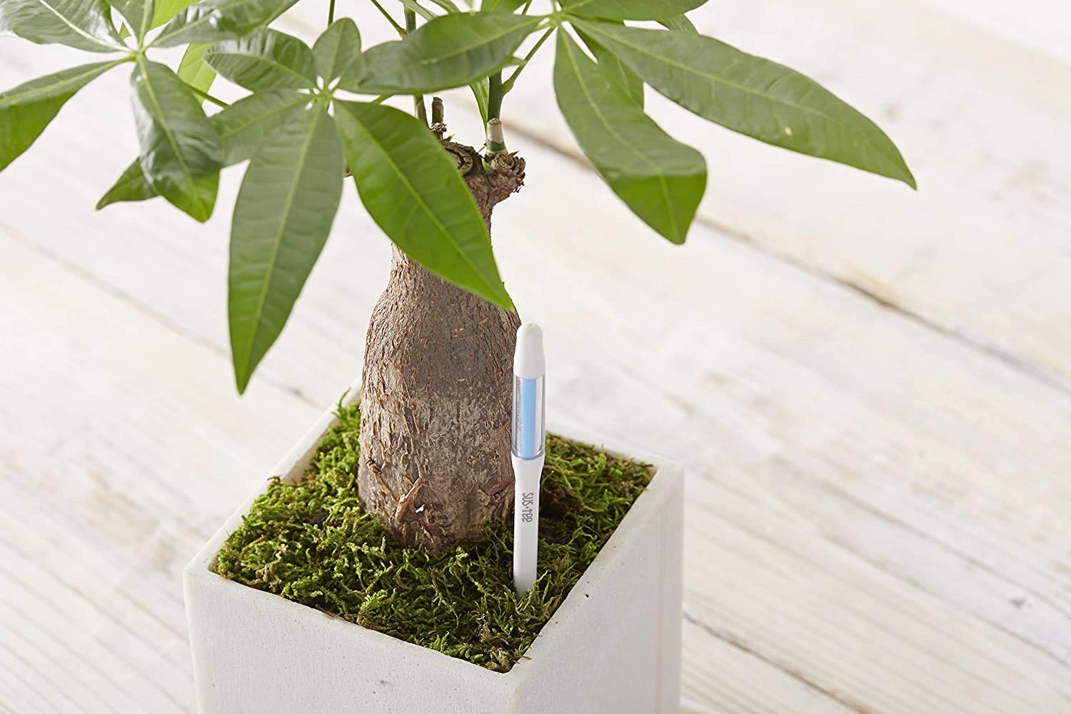 Sustee Aquameter refillable core for ongoing use