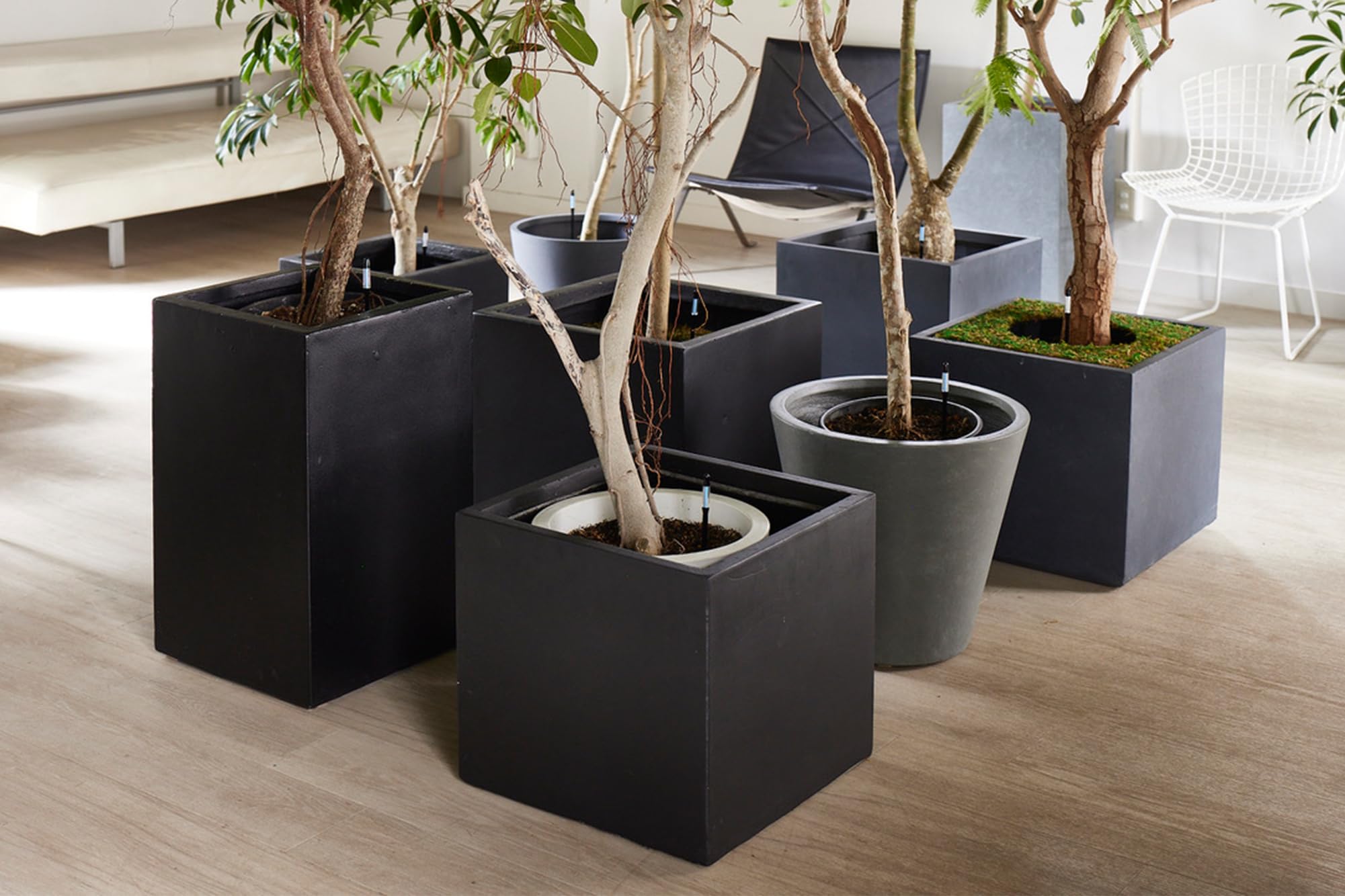 Sustee Cabinoche works without batteries, offering a silent, maintenance-free plant moisture check.
