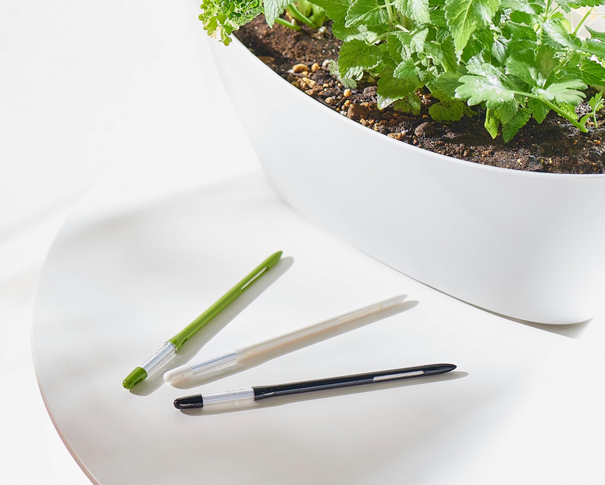 Sustee Cabinoche in organic soil indicates moisture levels to prevent overwatering.
