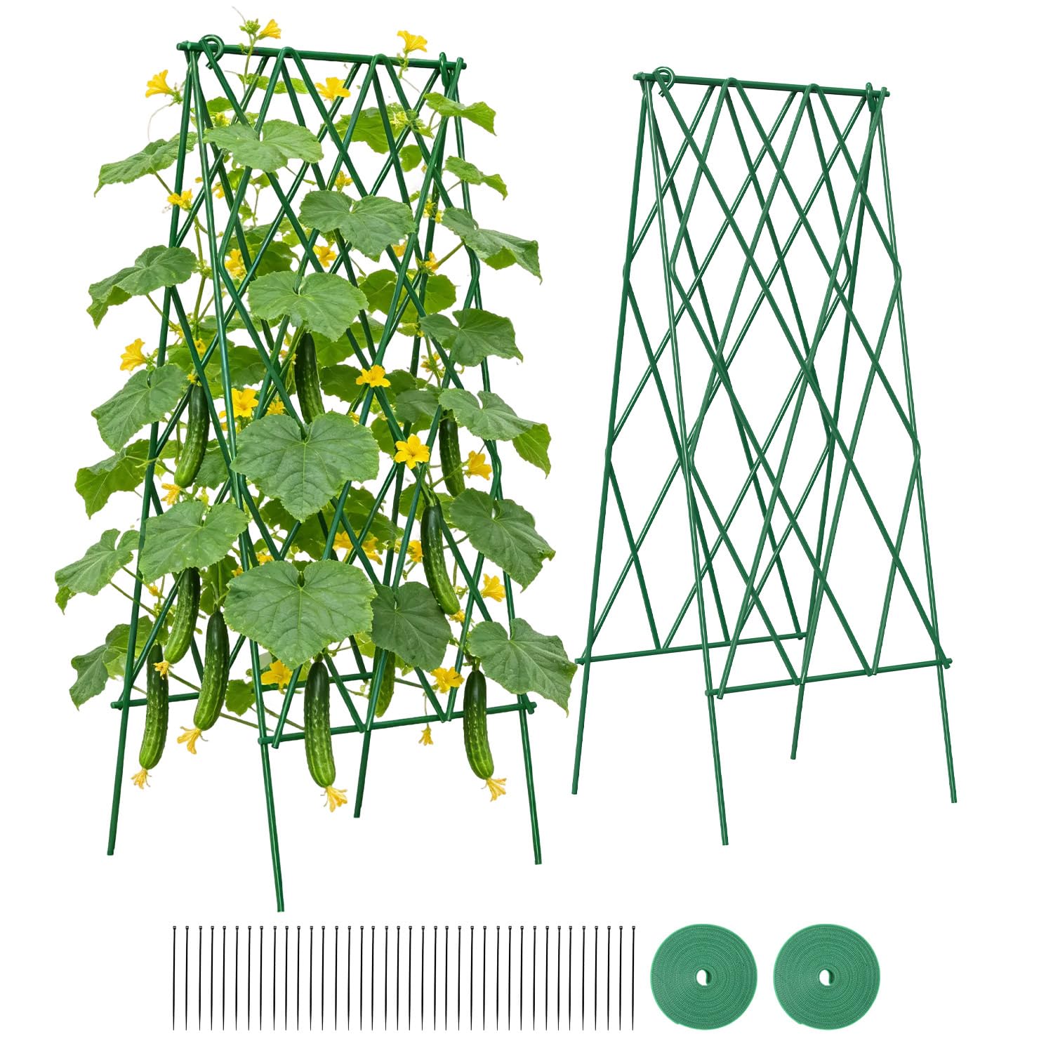 Suteck cucumber trellis 39-2-inch two-pack provides sturdy support for climbing cucumbers