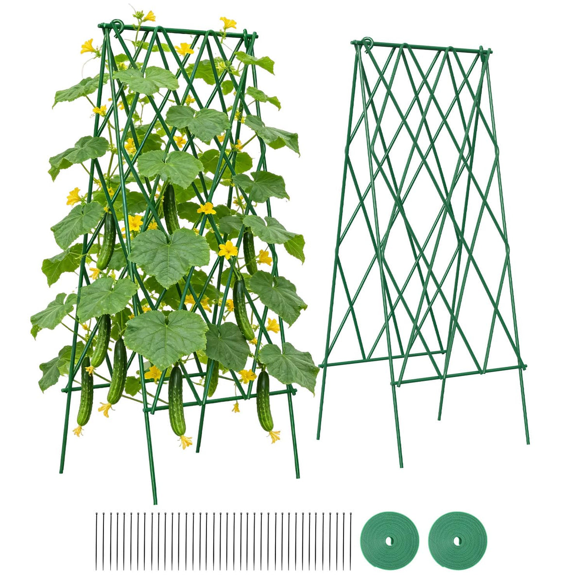 Suteck cucumber trellis 39-2-inch two-pack provides sturdy support for climbing cucumbers