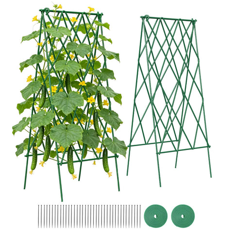 Suteck cucumber trellis 39-2-inch two-pack provides sturdy support for climbing cucumbers