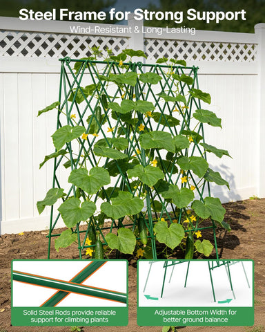 Suteck plant-support for peas, beans, and tomatoes improves airflow and sun exposure