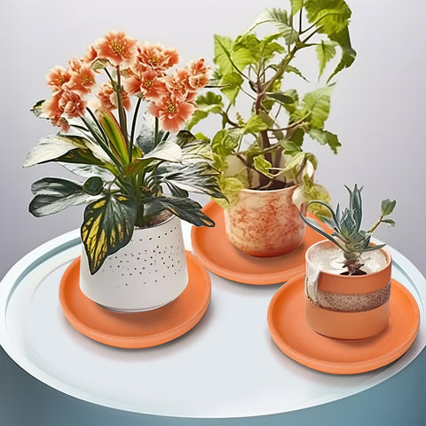 Suwimut indoor/outdoor plant saucer under ceramic pots.