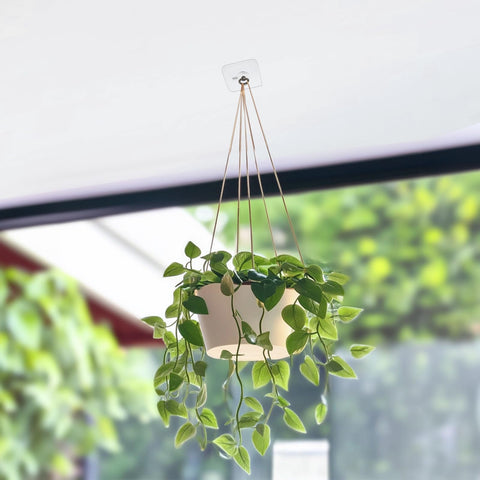 Suwimut outdoor-friendly hooks work on smooth surfaces for lanterns and décor