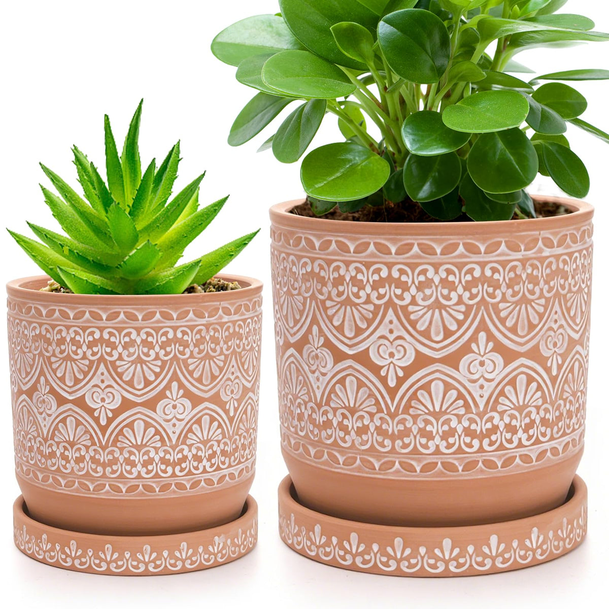 Suwimut 6-inch terracotta pot with drainage hole for herbs and small plants.