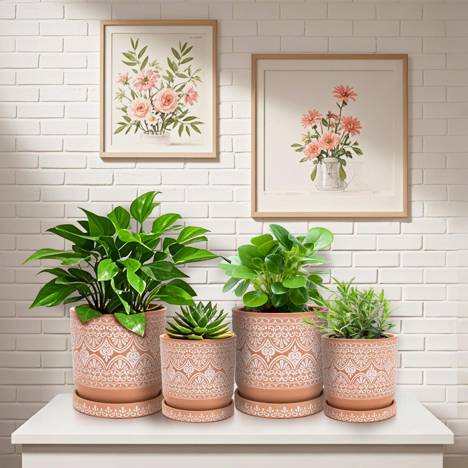 Suwimut compact pot pair showcases small succulents beautifully.