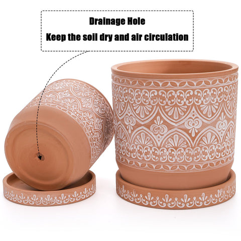 Suwimut drainage hole terracotta pot supports healthy root air flow.