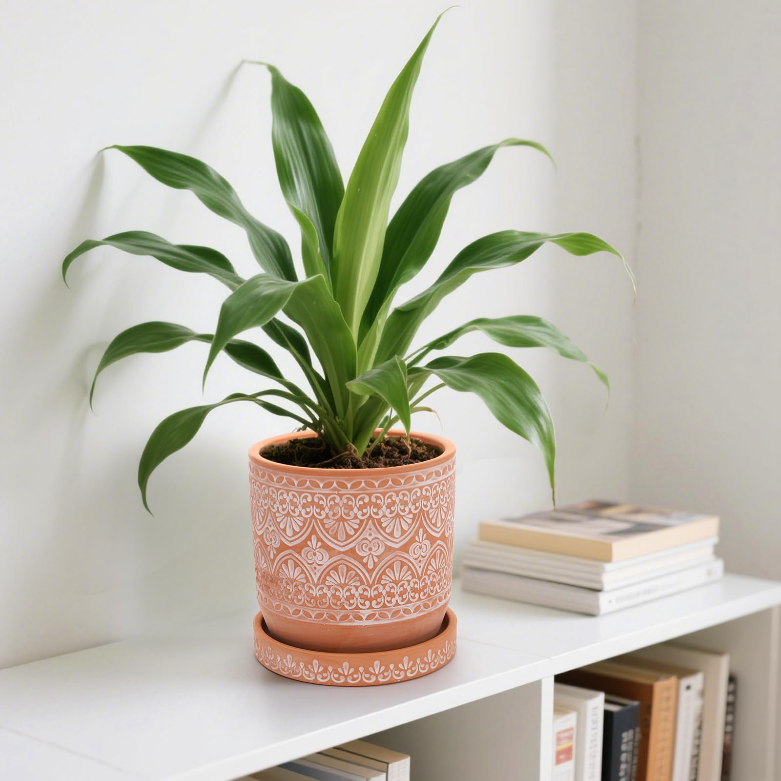 Suwimut indoor outdoor terracotta pot for versatile plant displays.