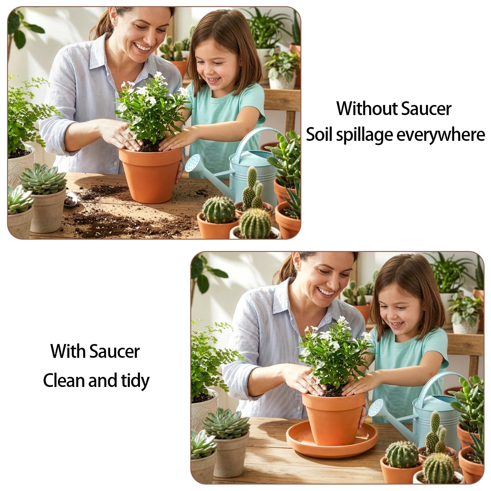Suwimut saucer with drainage hole helps prevent root rot.