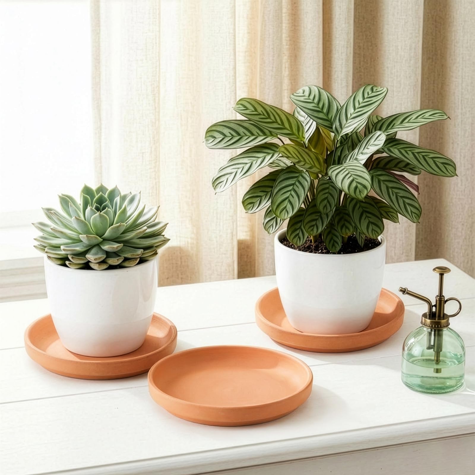 Suwimut 4-pack terracotta saucers for easy plant organization.