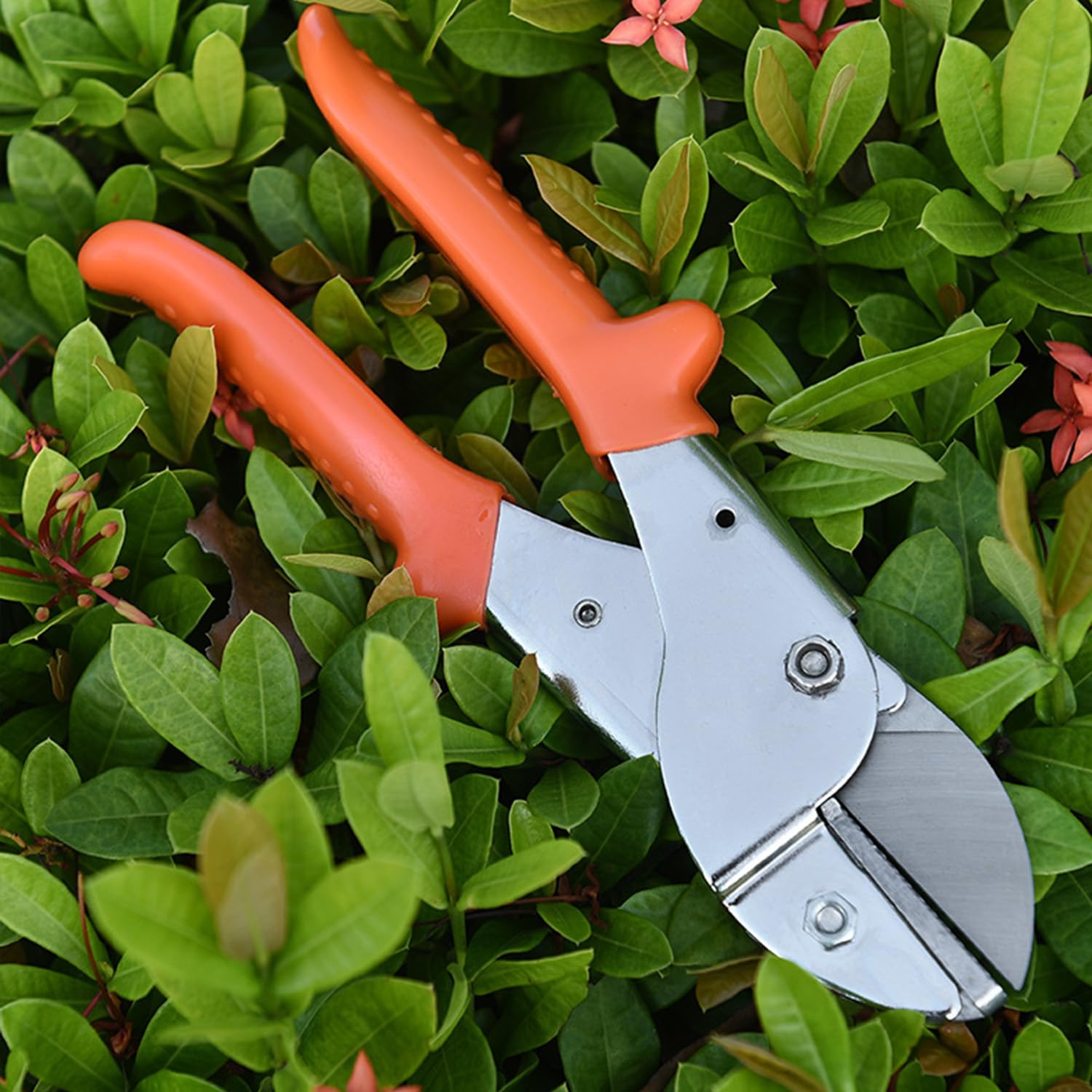 SuyncYi garden shears stored in a shed for portable gardening tools.