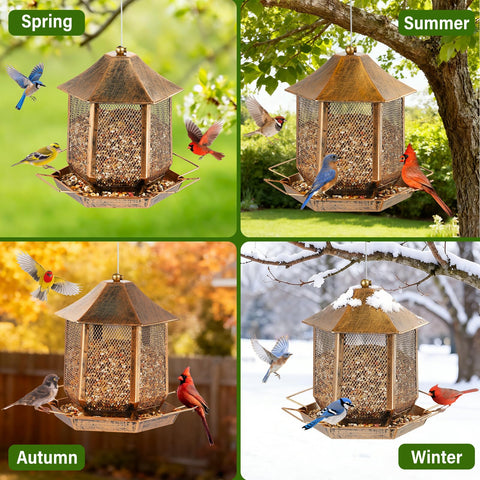Suyue Y 3.5 lb capacity holds a variety of seeds for diverse birds.