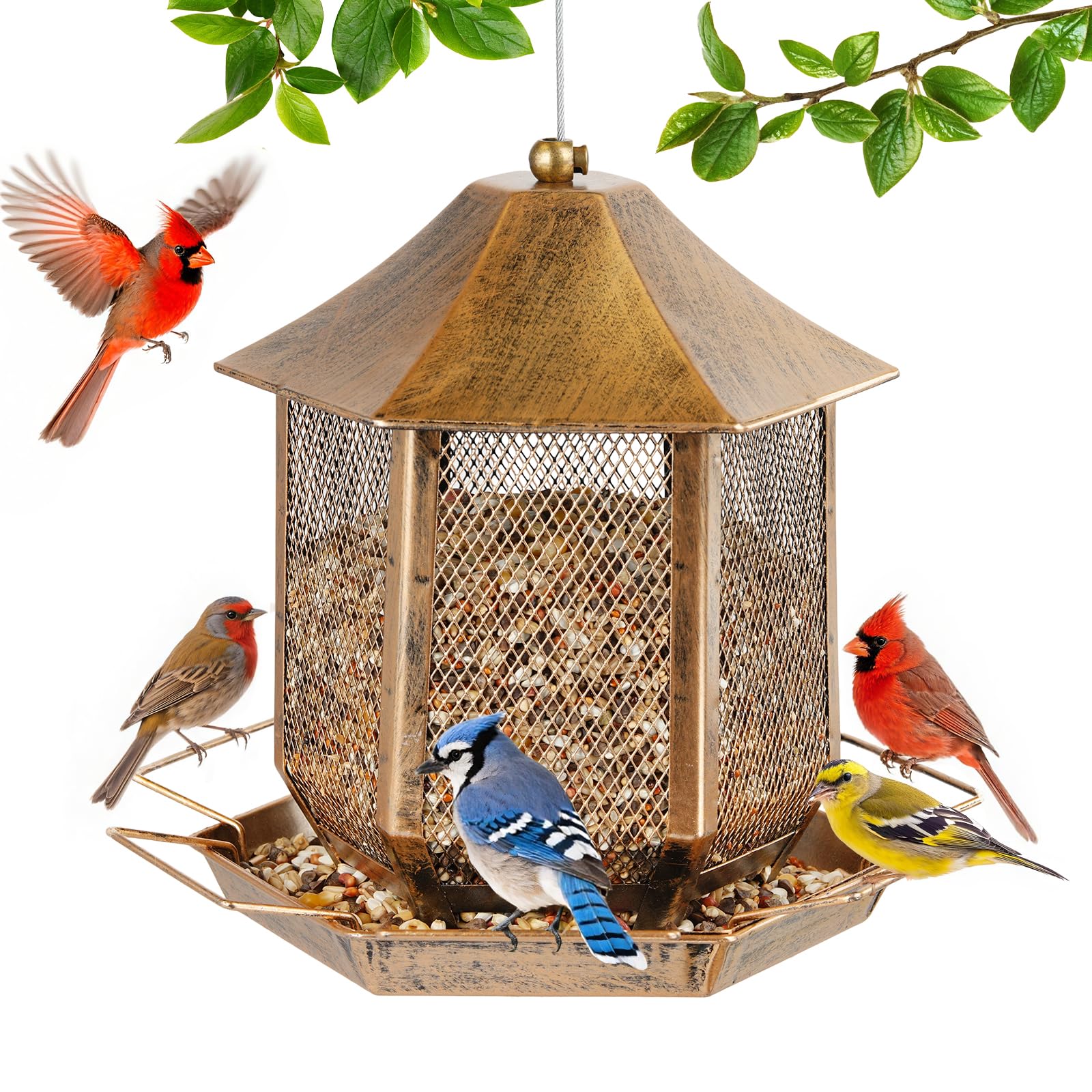 Suyue Y bird feeder outdoors with metal roof protects seeds from rain and wind.