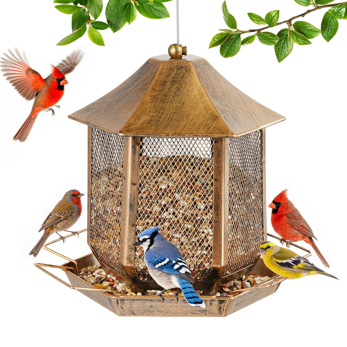 Suyue Y bird feeder outdoors with metal roof protects seeds from rain and wind.