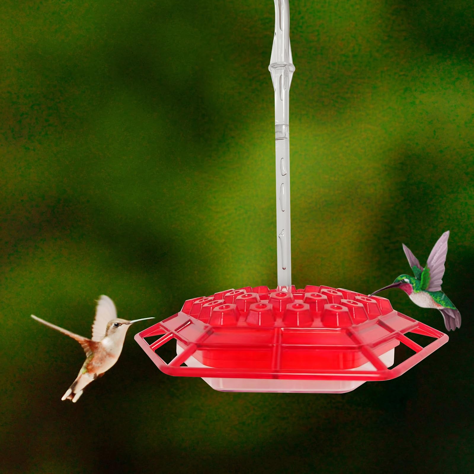 Suyue Y hummingbird feeder in backyard view for graceful garden watching.