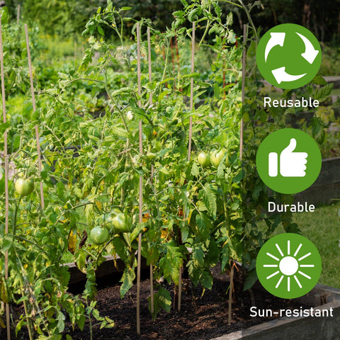 Suzile bamboo stakes bulk 100-count, great as a garden gift.
