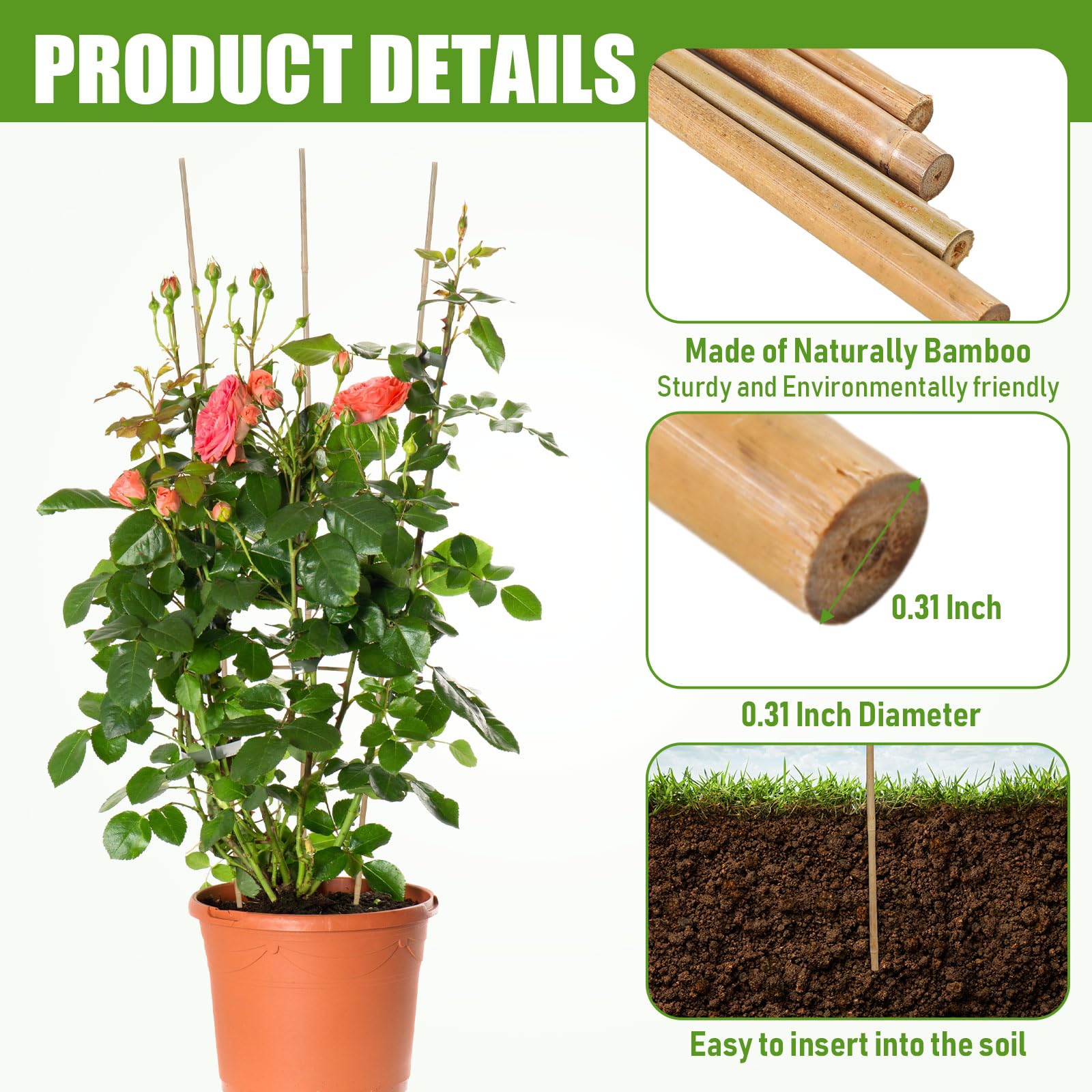 Suzile bamboo stakes natural color enhances garden aesthetics.