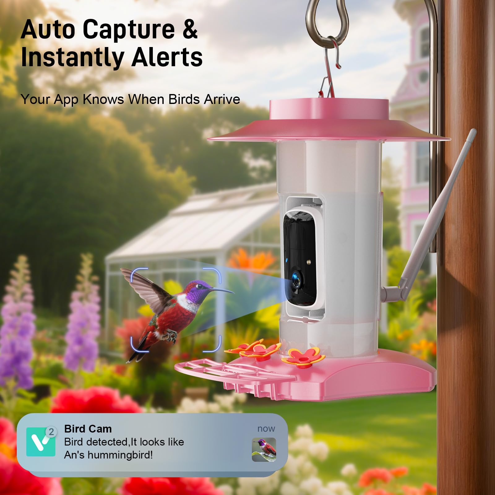 SV3C hummingbird feeder 2K HD clarity captures vivid bird details.
