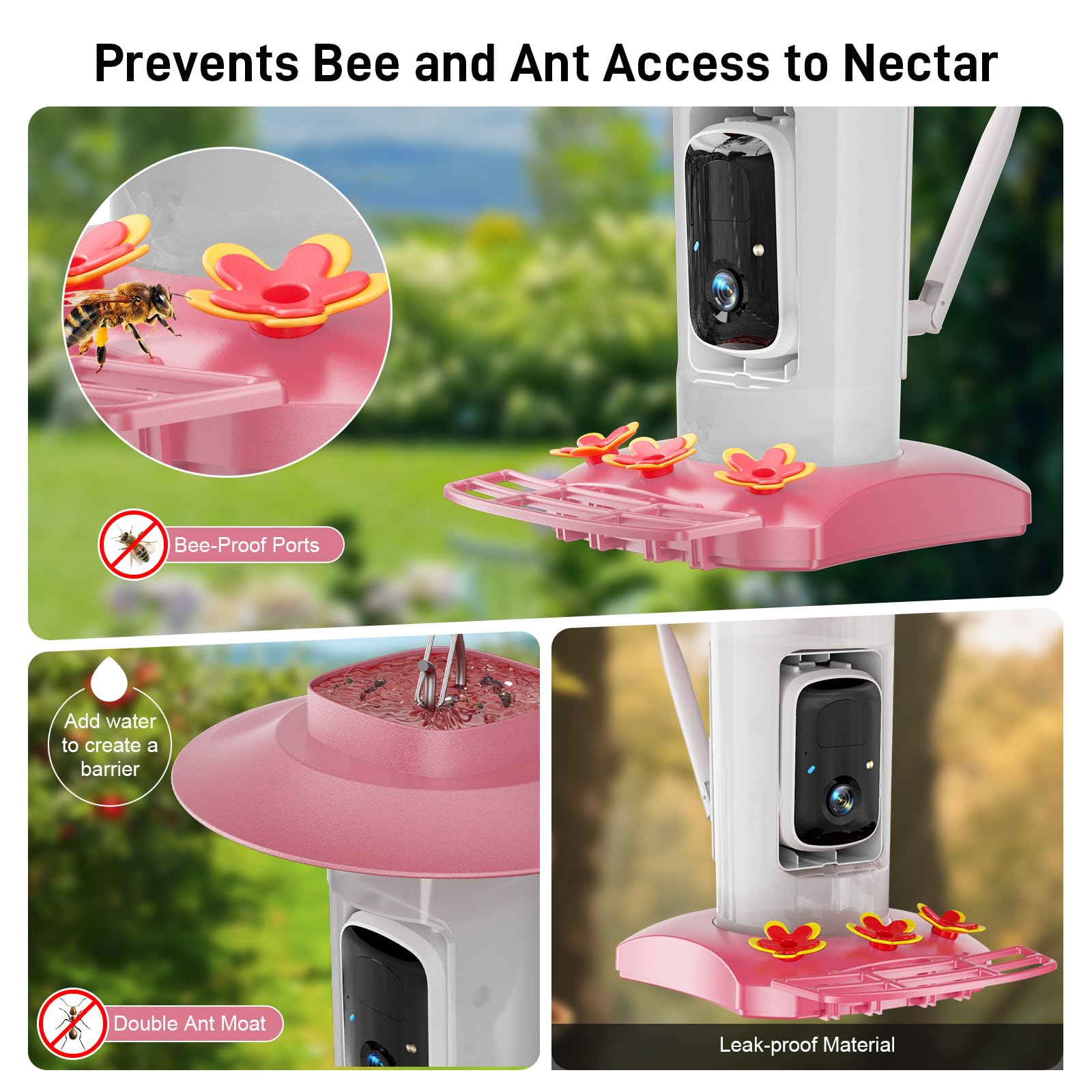 SV3C hummingbird feeder AI recognition shows species names in Vicohome.