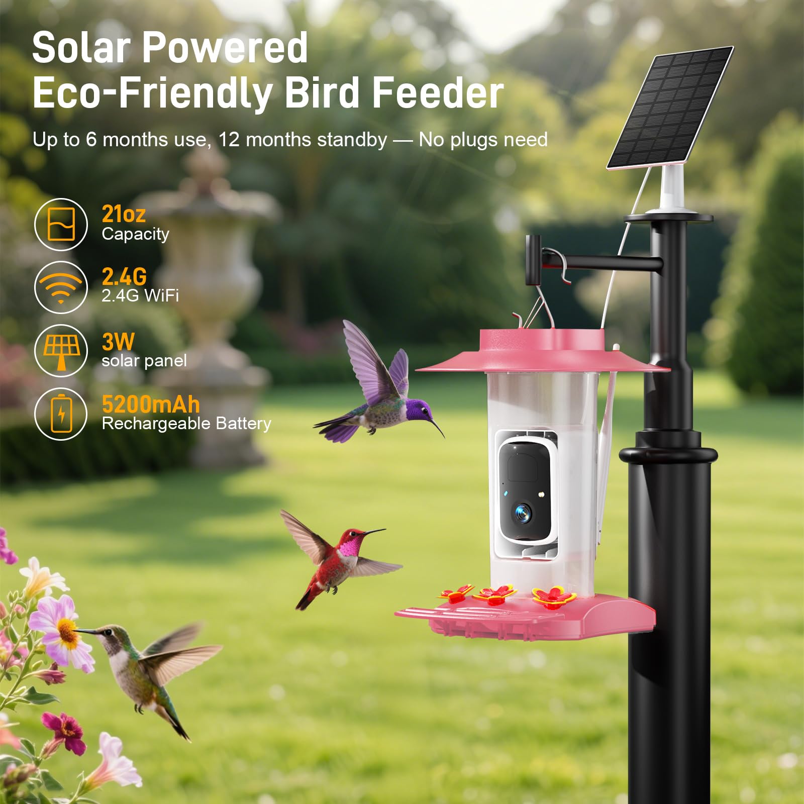 SV3C hummingbird feeder night infrared view reveals visits after dark.