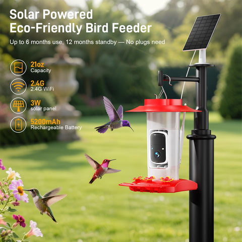 SV3C built-in perch and dual-color flowers invite birds to linger.