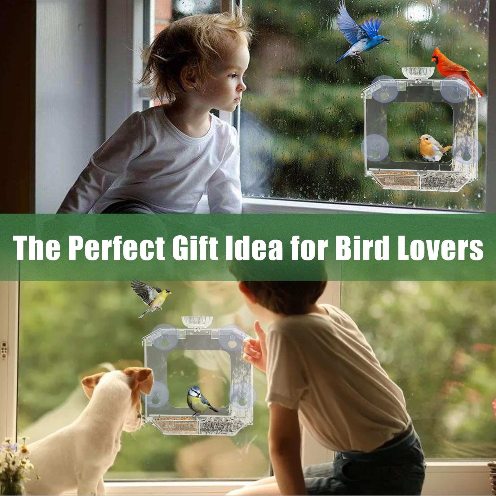 SVEDVK dual seed trays allow varied foods for visiting birds.