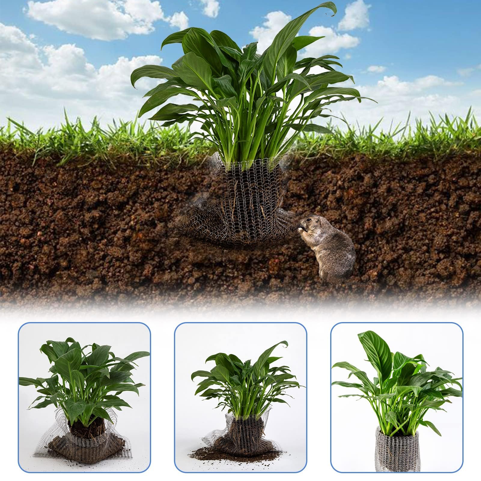 Svepndic 15-gallon root protection area guarding a garden bed.
