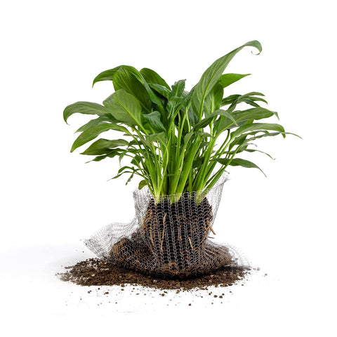 Fits standard 16 by 18 inch footprint with dense mesh to deter digging