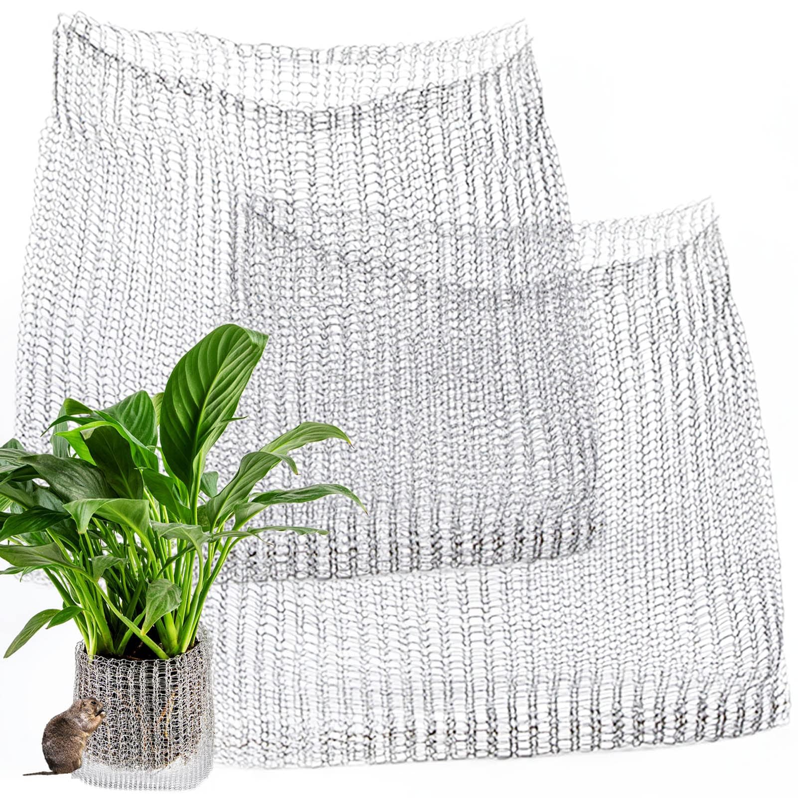 Svepndic root guard baskets installed around a plant to deter burrowing animals.