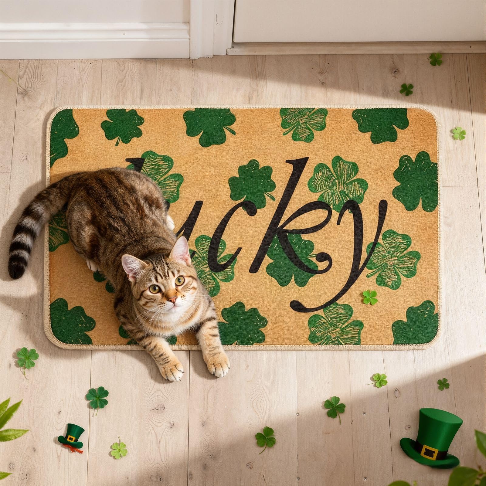 Svepndic door mat with non-slip backing keeps entryways safe and tidy.
