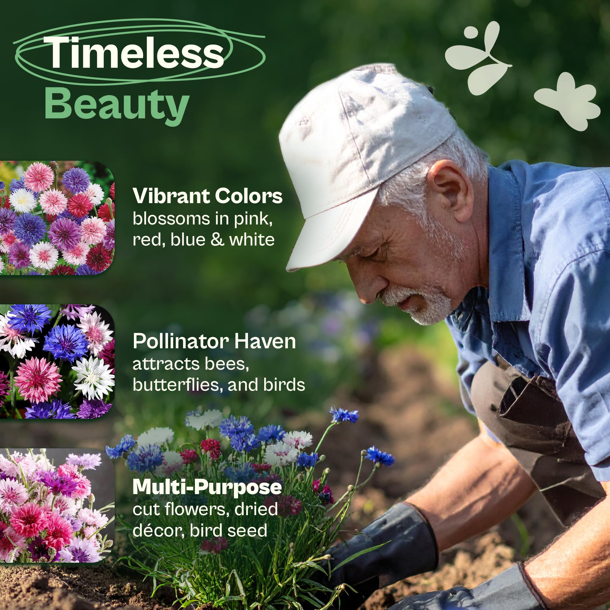 Tall 30-inch stems in full sun create dramatic garden displays.