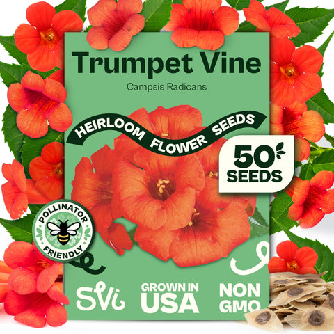 SVI 50 Red Trumpet Vine seeds pack ready for fences and trellises.