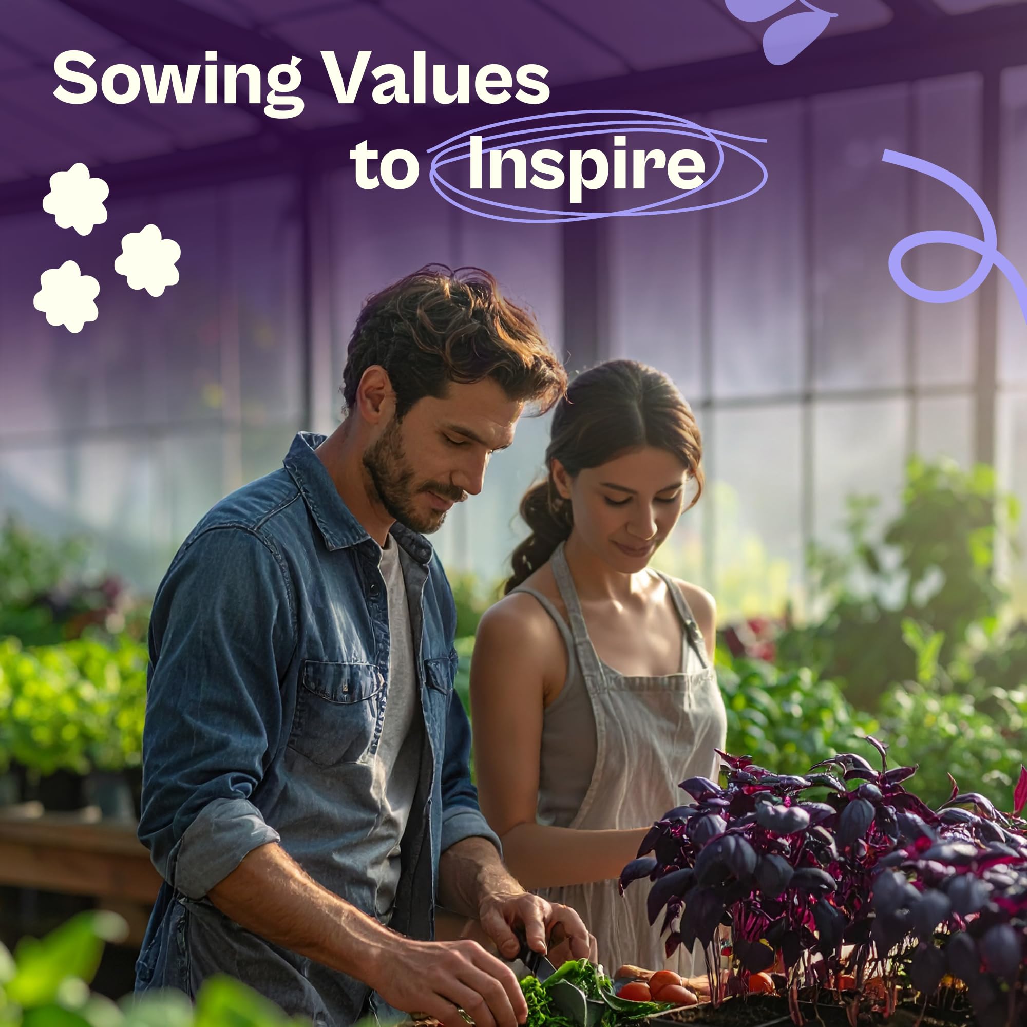 SVI 600 Dark Opal Basil seeds versatile annual thrives in warm zones for outdoor beds
