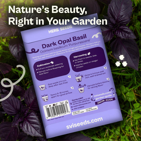SVI 600 Dark Opal Basil seeds leaf closeup burgundy leaves ideal for sauces and pesto