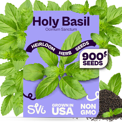 SVI 900 Holy Basil seeds packet displayed for home gardeners, inviting to grow tulsi.