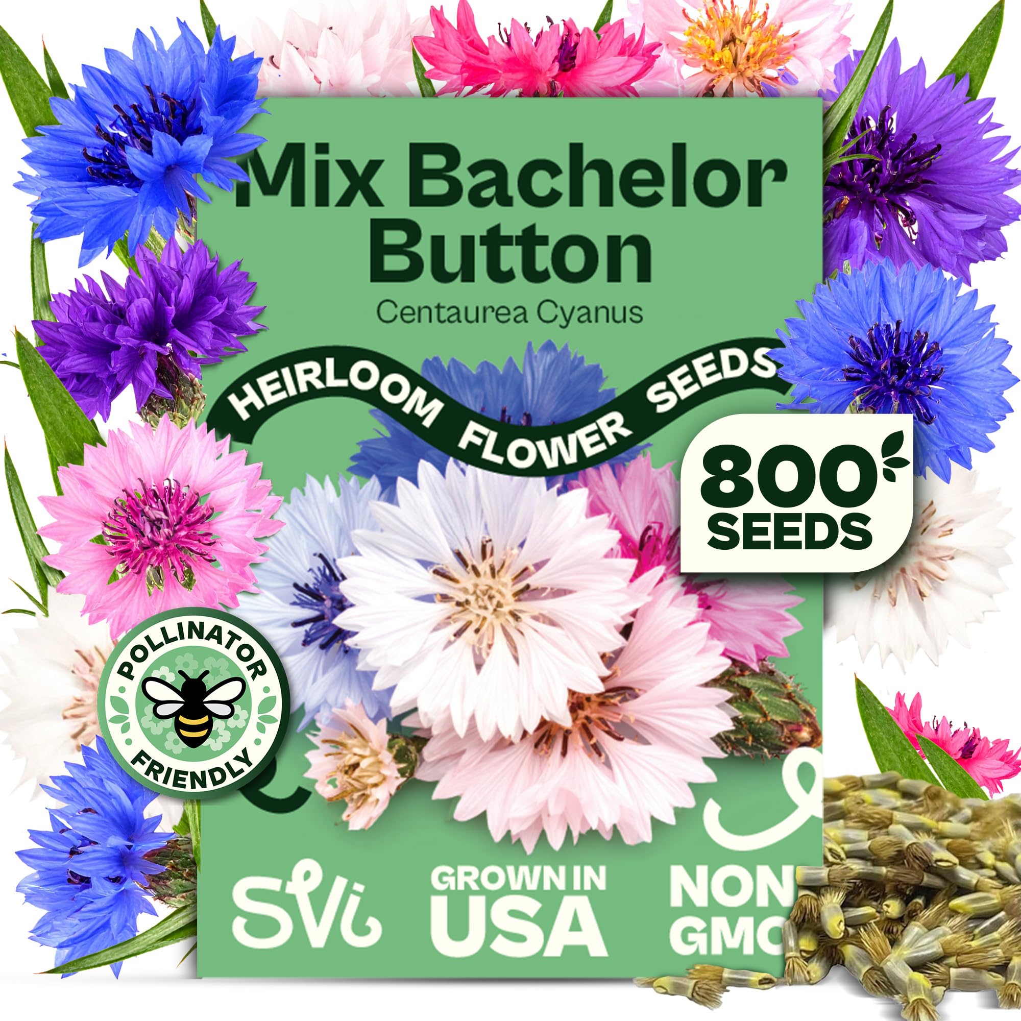 SVI Bachelor Button seeds yield vibrant multi-color blooms for borders.