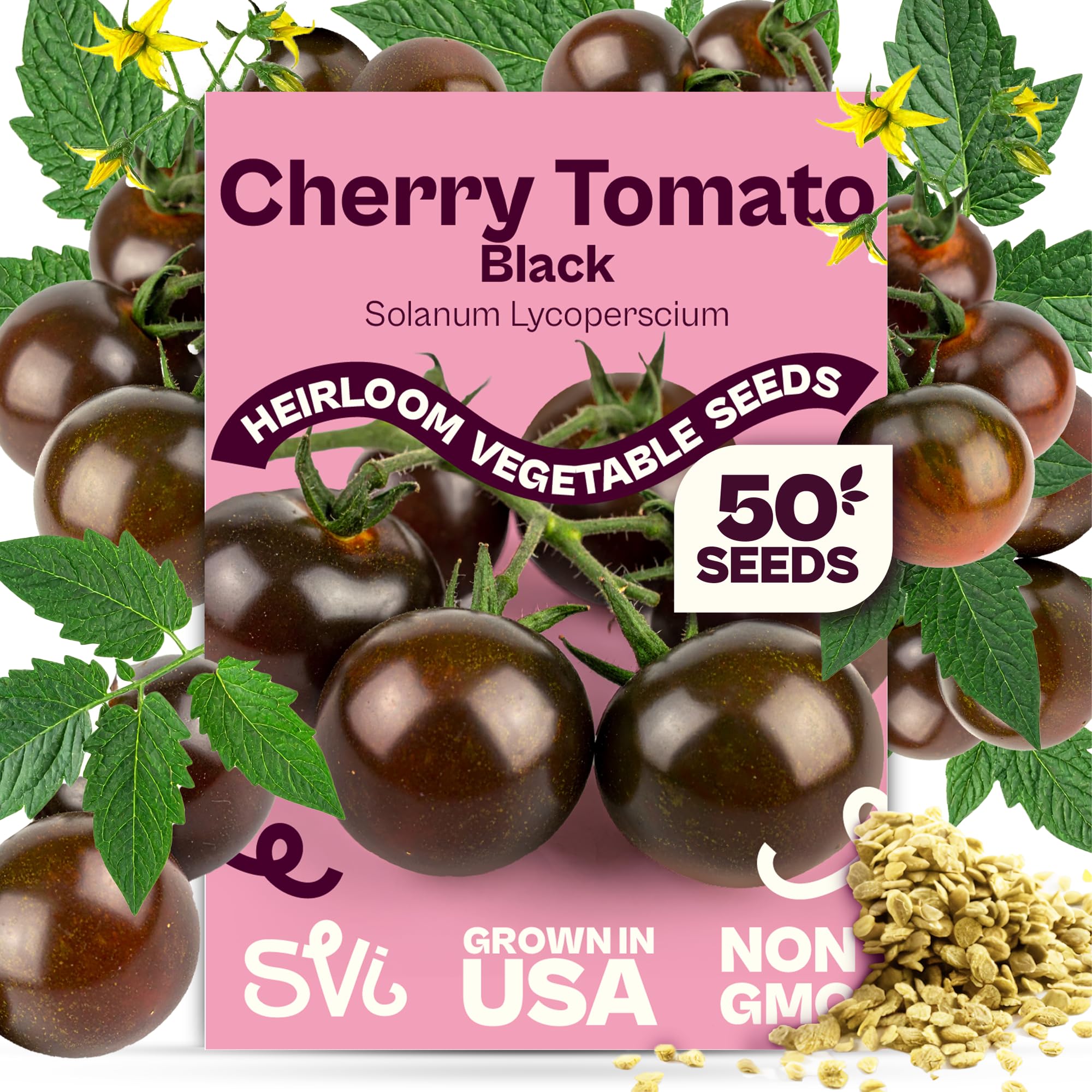 SVI Black Cherry tomato seeds pack for heirloom flavor and steady home garden growth.